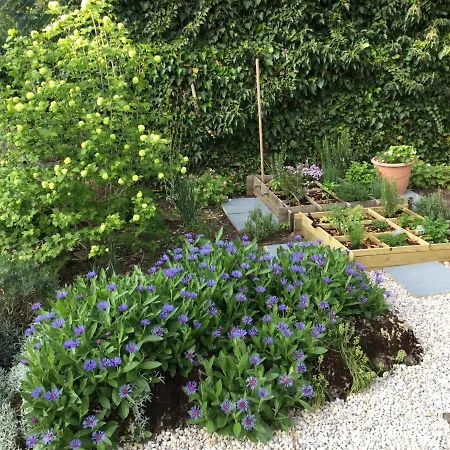 Chambres D'hotes Les Quatre Saisons Bed & Breakfast